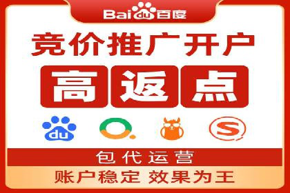 搜索引擎营销（SEM）竞价策略案例
